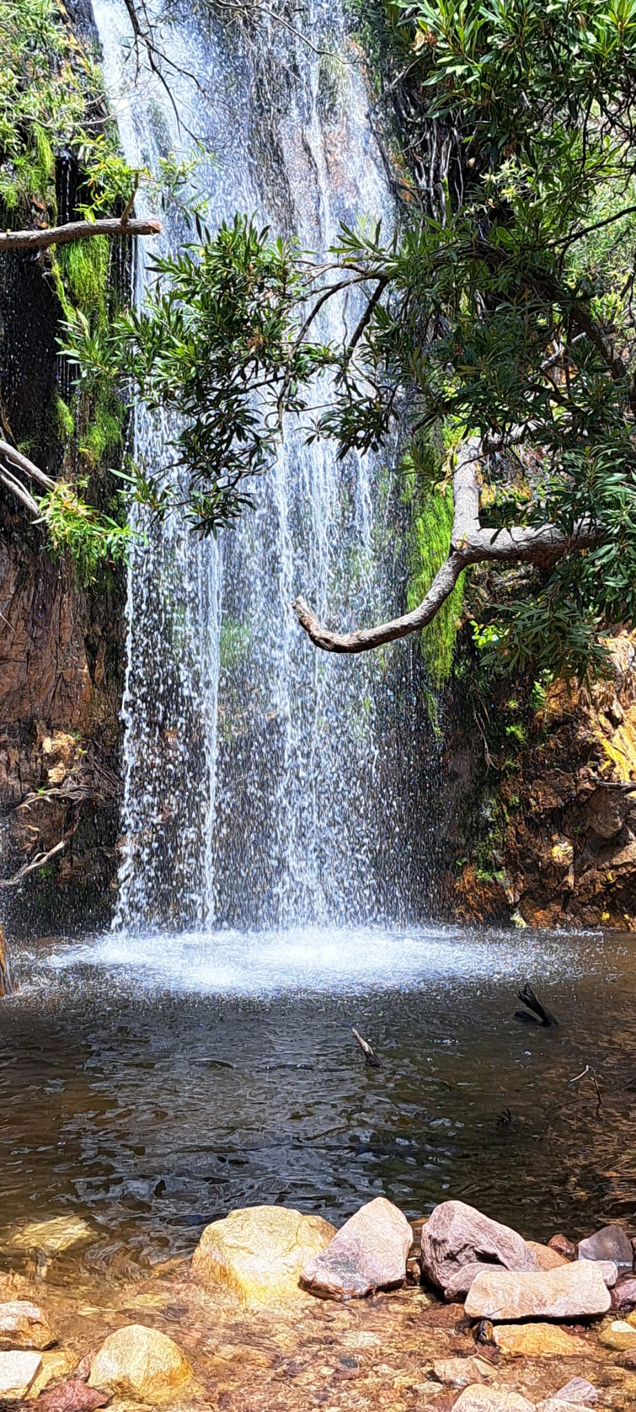 PRE World Cup Porterville South Africa 14.12.25 – 20.12.25