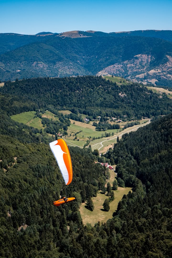 Pfalz Open 2026 Fellering