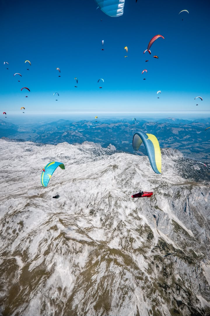 IKARUS Open